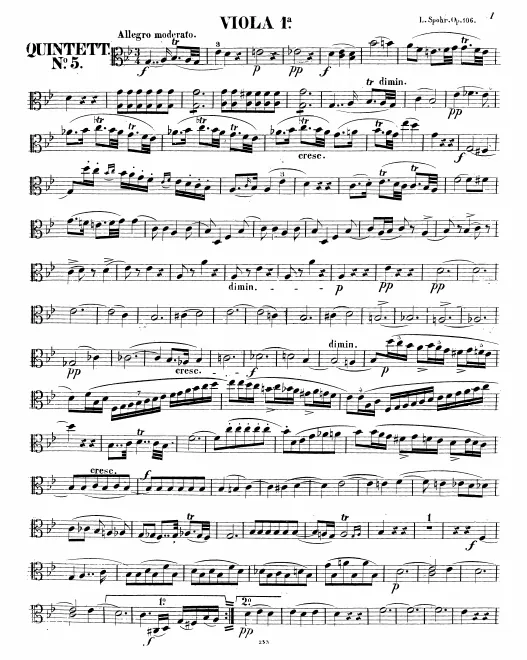 Viola 1