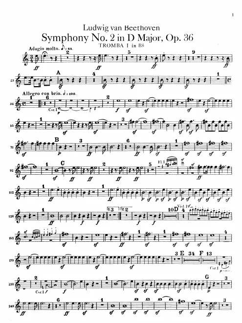 Trumpet 1, 2 (D, plus transposed B)