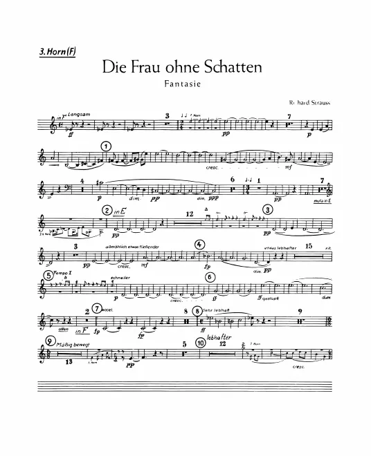 Horn 3 (F)