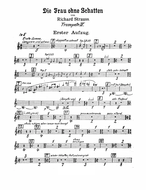 Trumpet 4