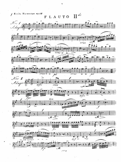 Flute 2