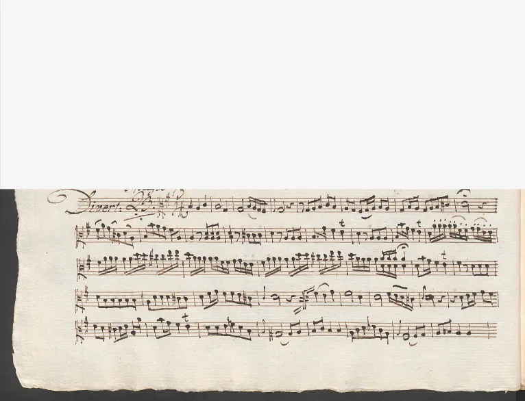 Viola