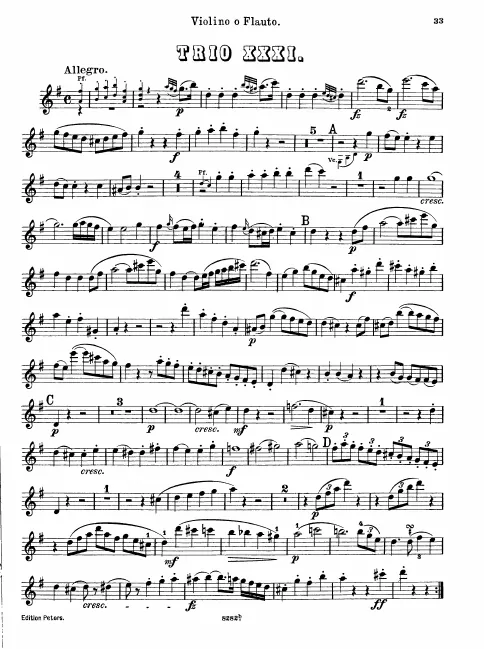 Violin