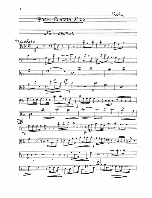 Violas