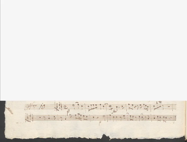 Viola