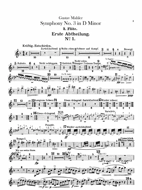 Flute 2/Piccolo 2