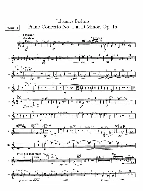 Horn 3 (B)