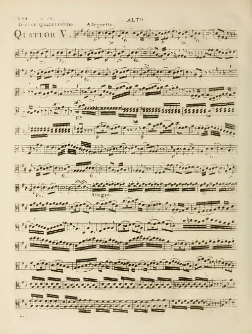 Viola
