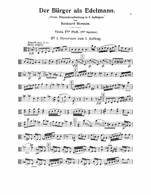 Viola 1 (Player 1)