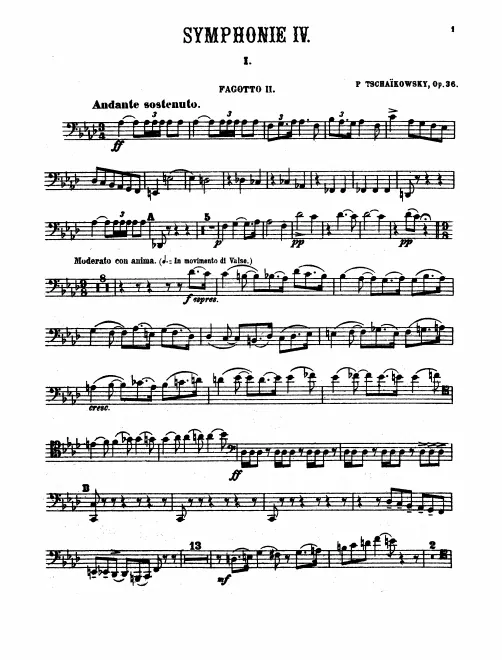 Bassoon 2