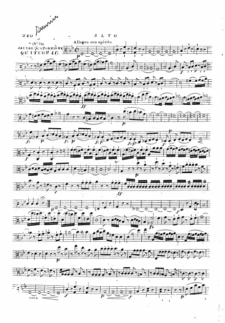 Viola