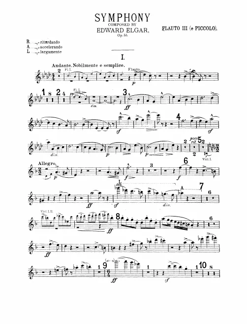 Flute 3/Piccolo