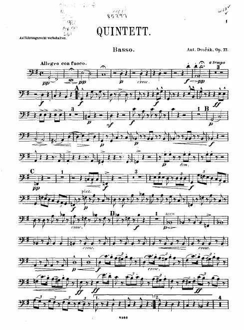 Double Bass