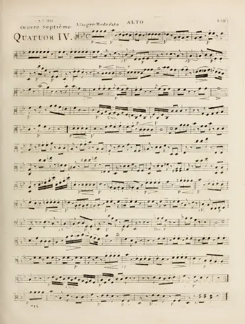Viola