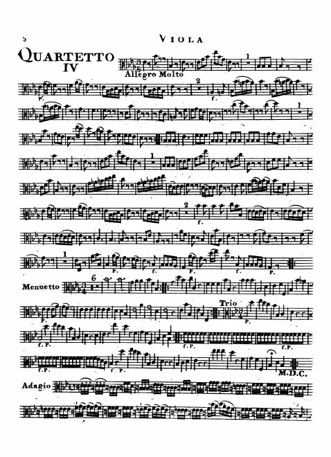 Viola