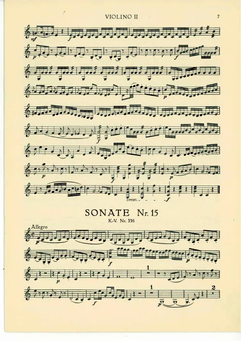 Violin 2