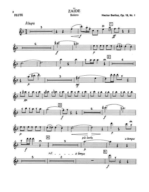 Flute