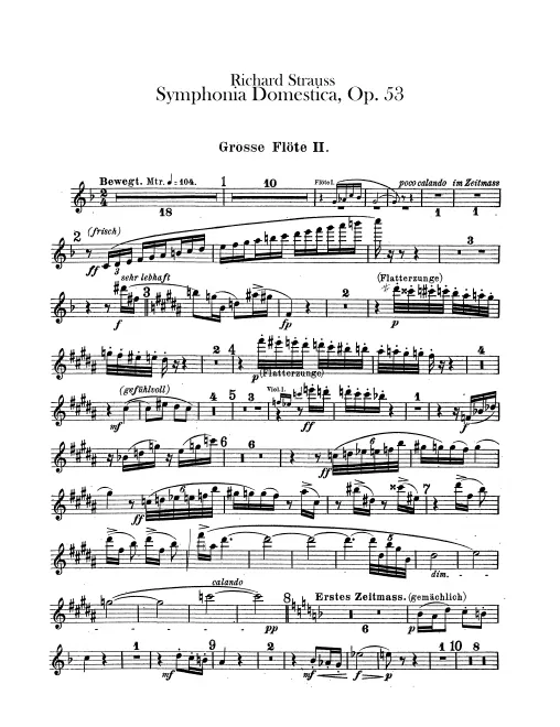 Flute 2