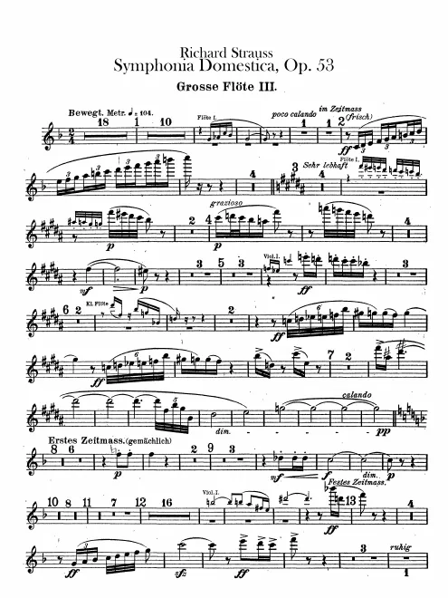 Flute 3