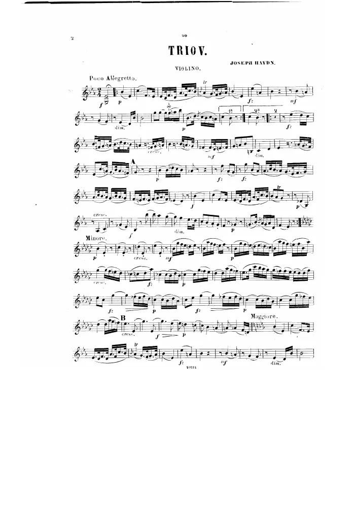 Violin