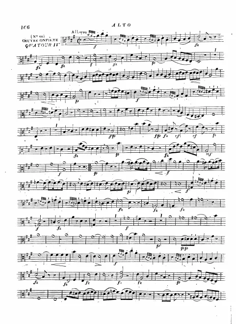 Viola