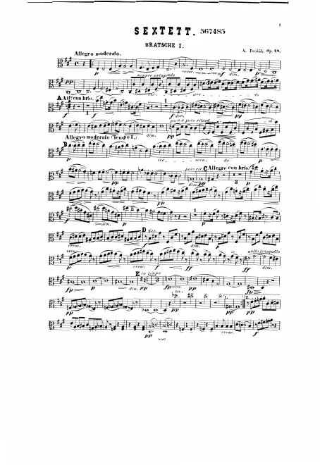 Viola 1