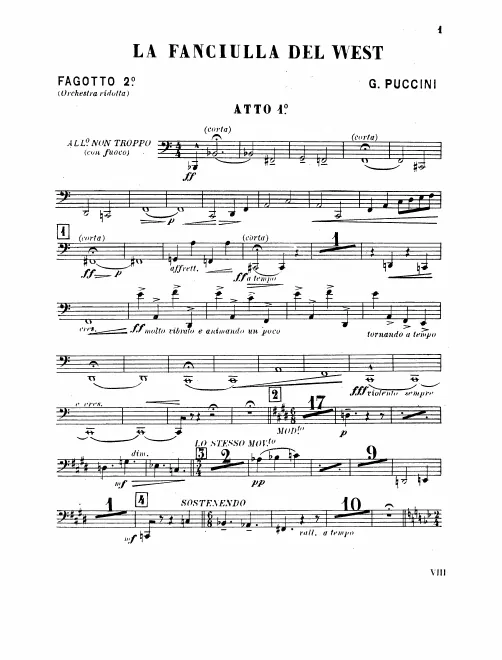 Bassoon 2