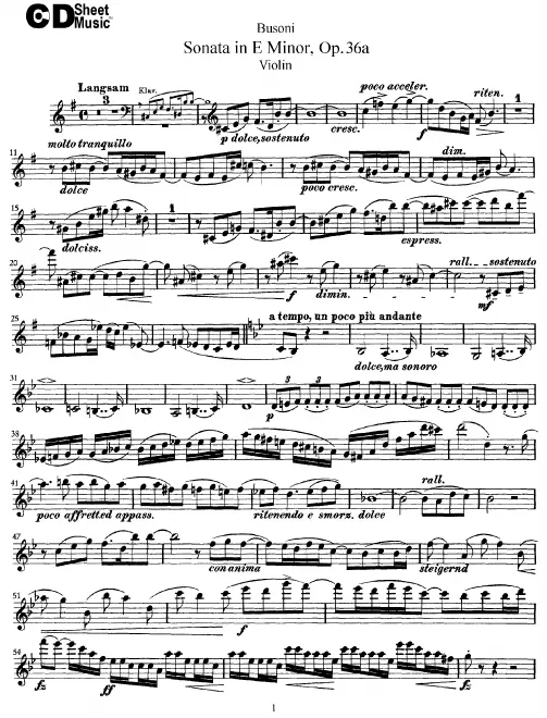 Violin