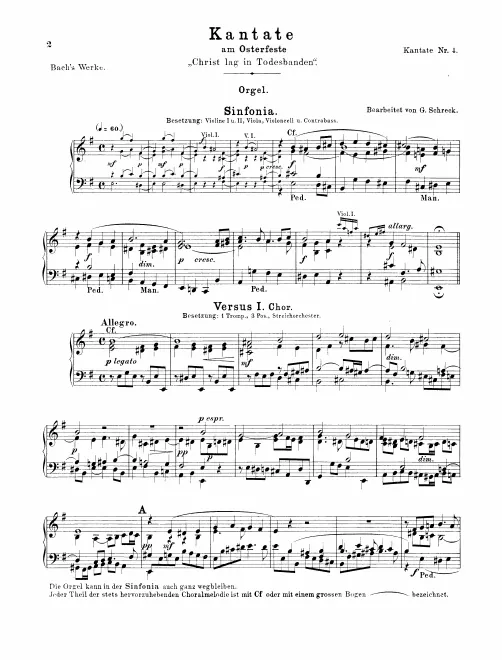 Continuo (Organ)