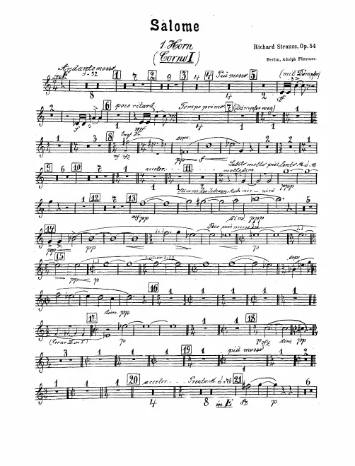 Horn 1