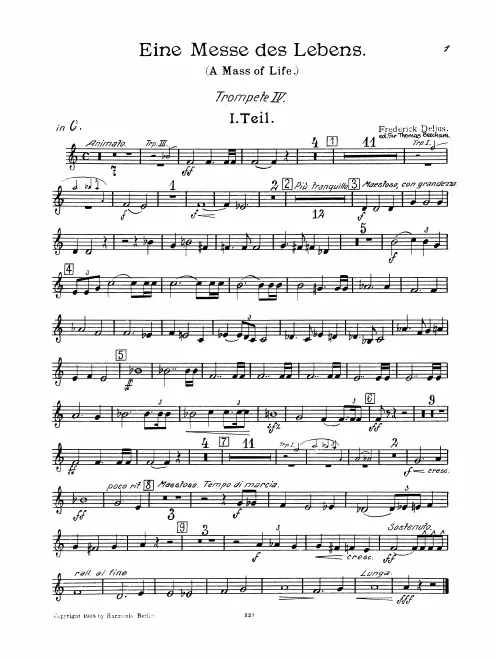 Trumpet 4 (C)
