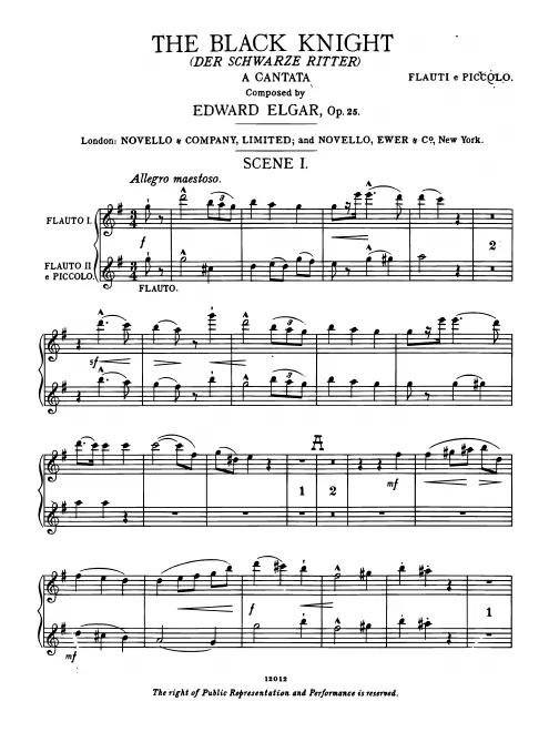 Flute 1/2 (Piccolo)