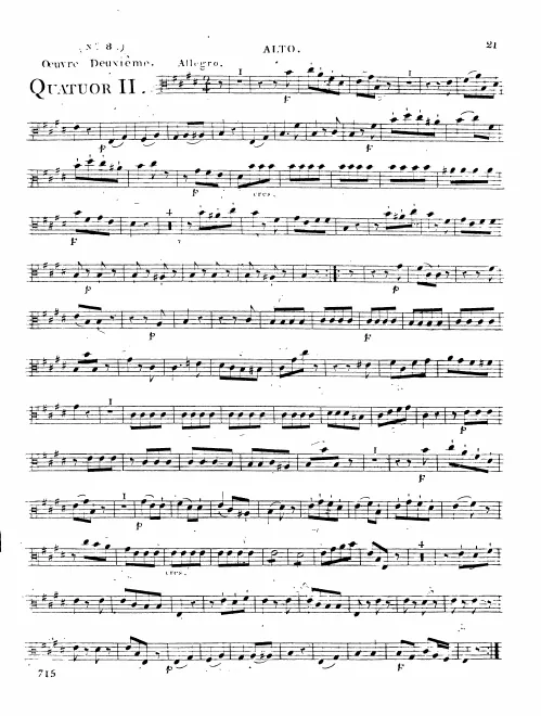 Viola
