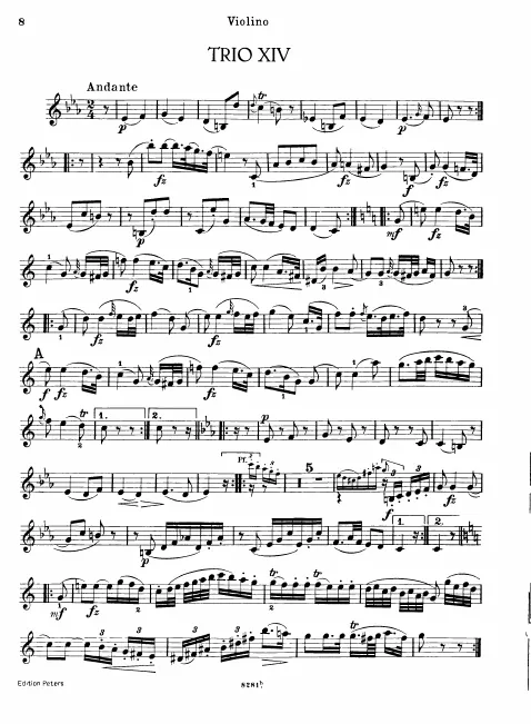 Violin
