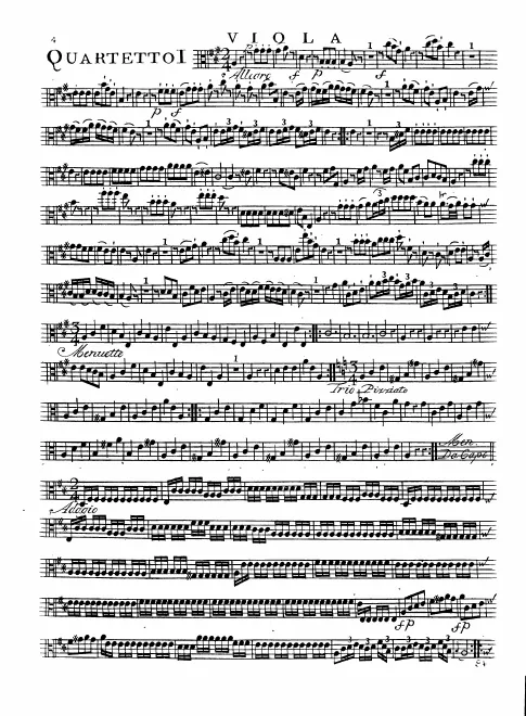 Viola