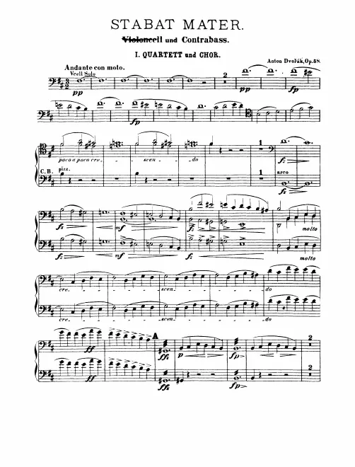Cello/Basses