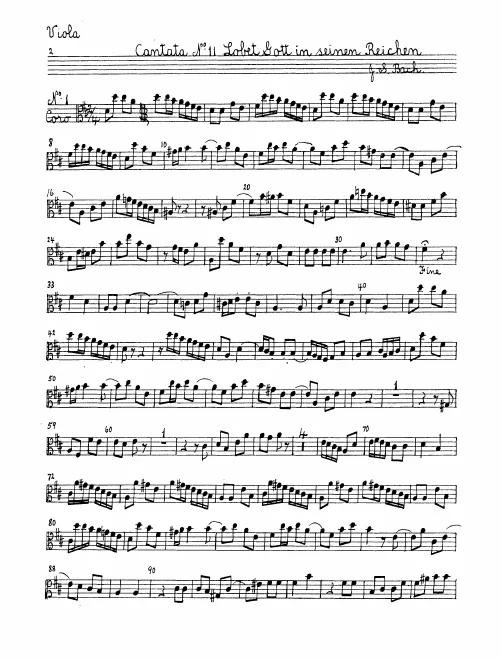 Violas