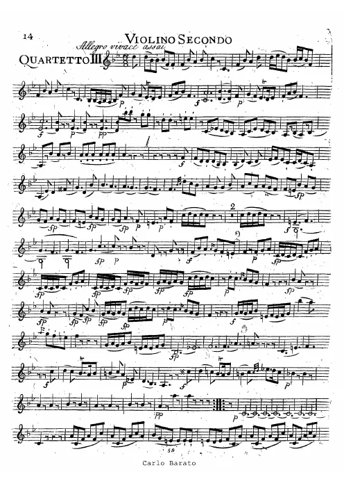 Violin 2