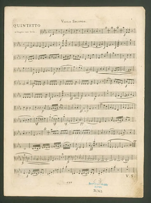 Viola 2