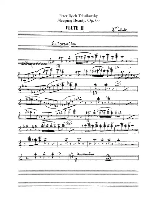 Flute 2