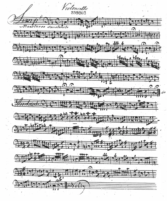 Cellos and Basses