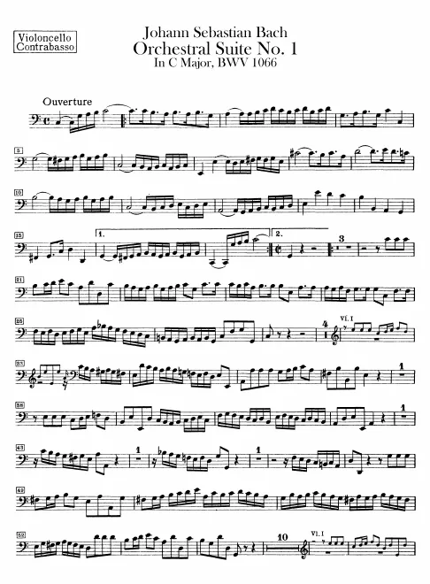 Cellos/Basses
