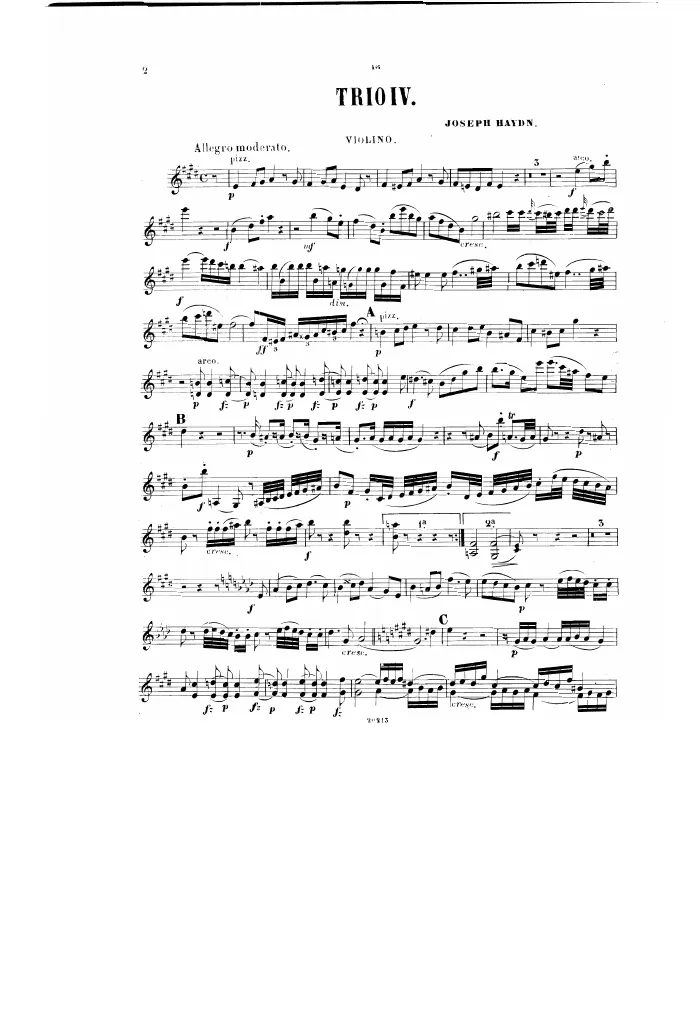 Violin