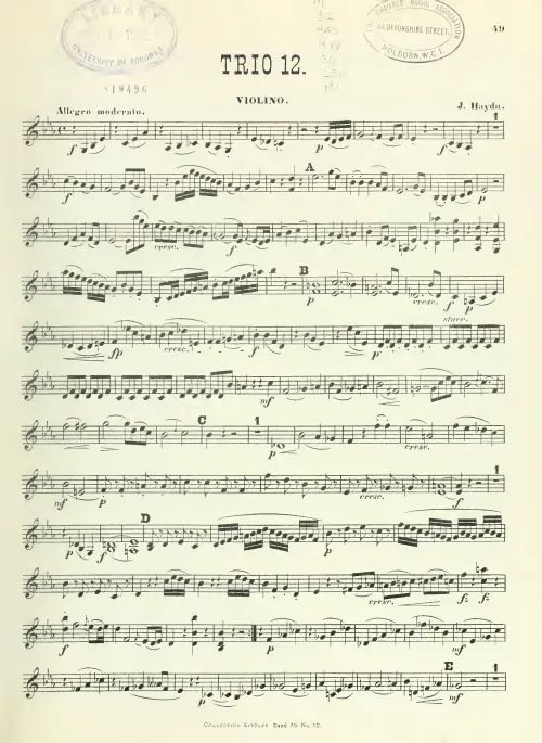 Violin