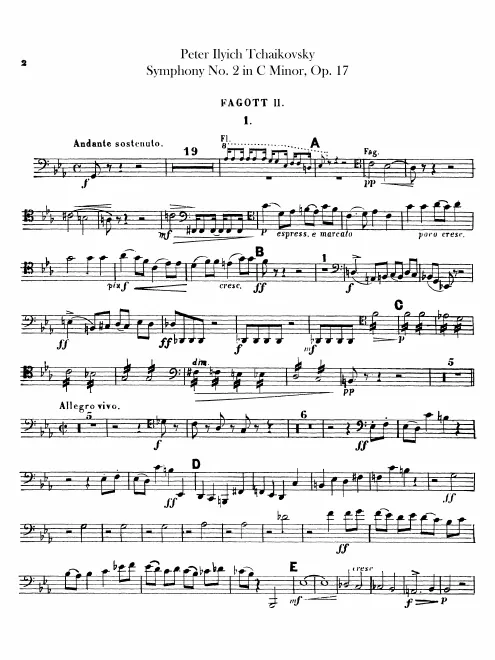 Bassoon 2
