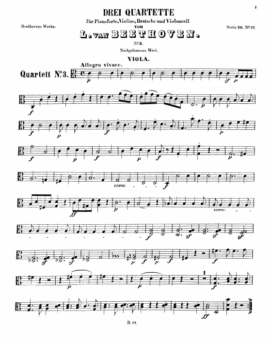 Viola