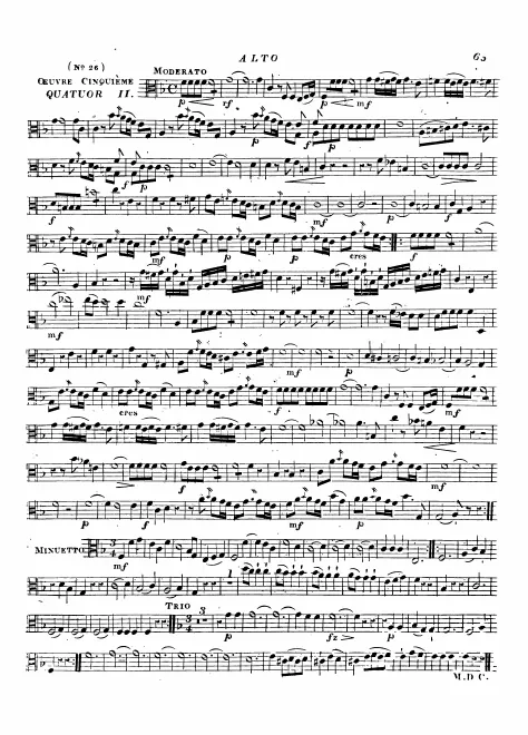 Viola