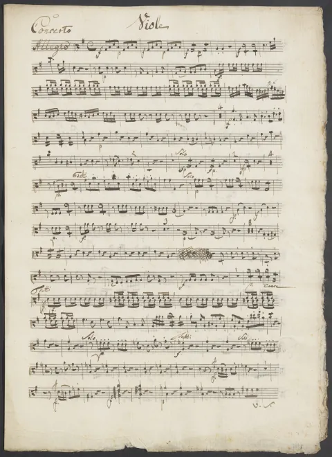 Violas