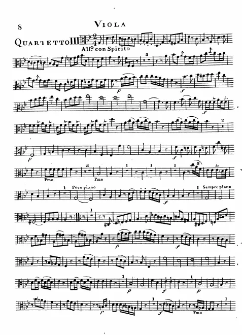 Viola