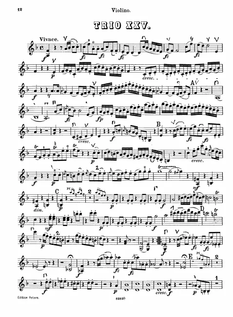 Violin